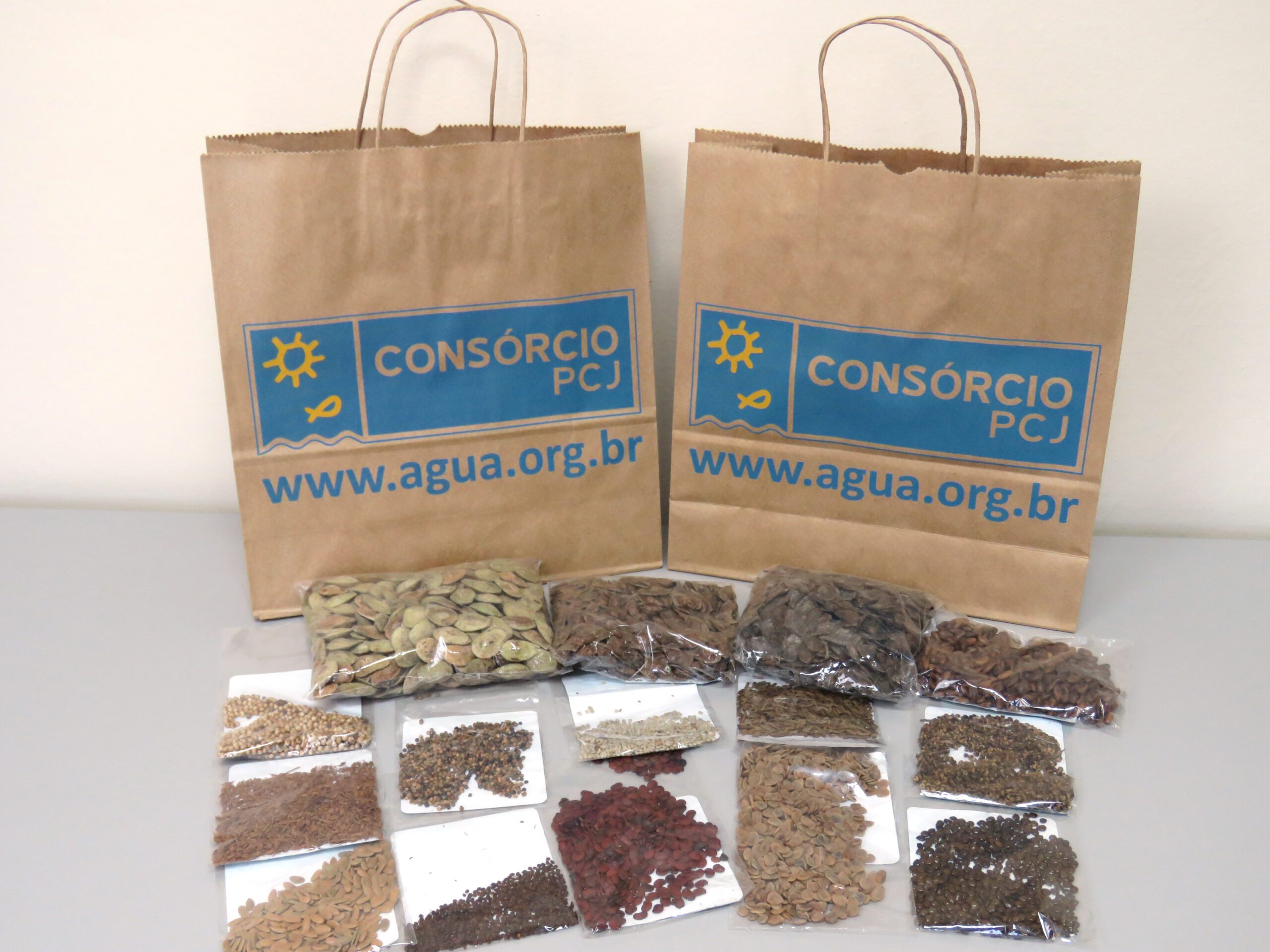 No Dia de Proteção às Florestas Consórcio PCJ inicia distribuição de sementes para a produção de milhares de mudas