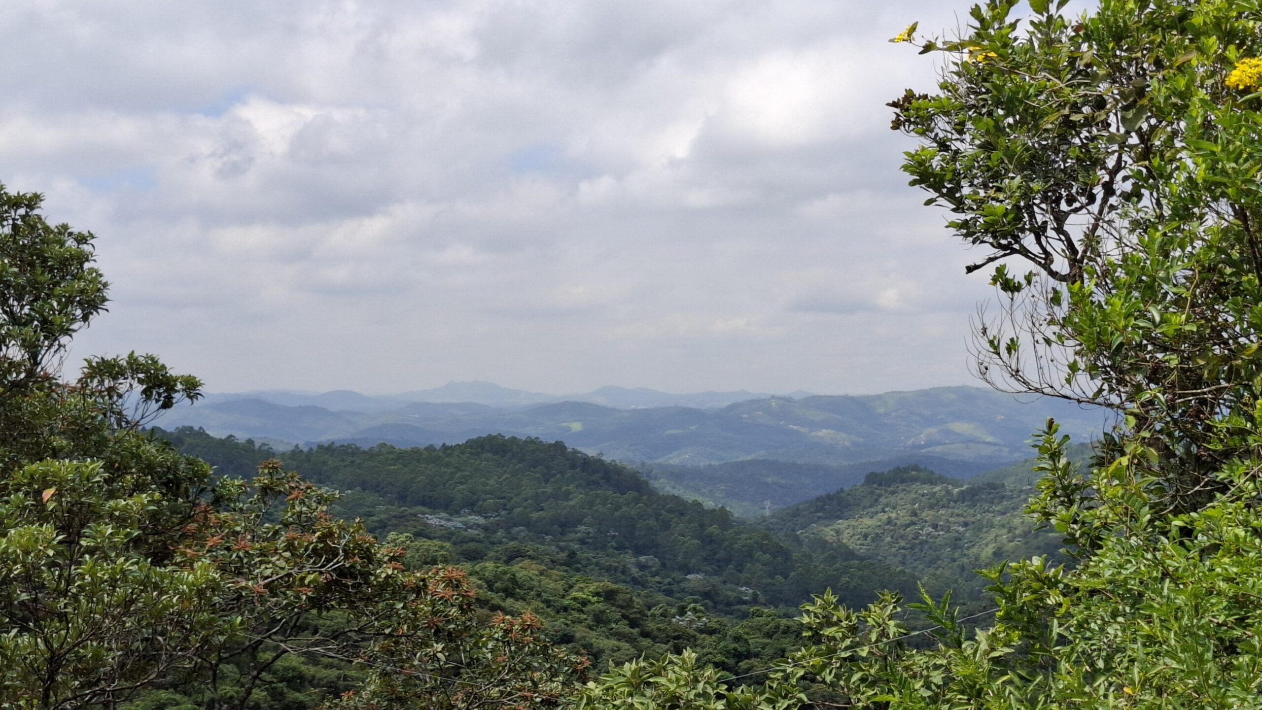 Projeto Olhos da Serra diminui focos de incêndio na Serra do Japi