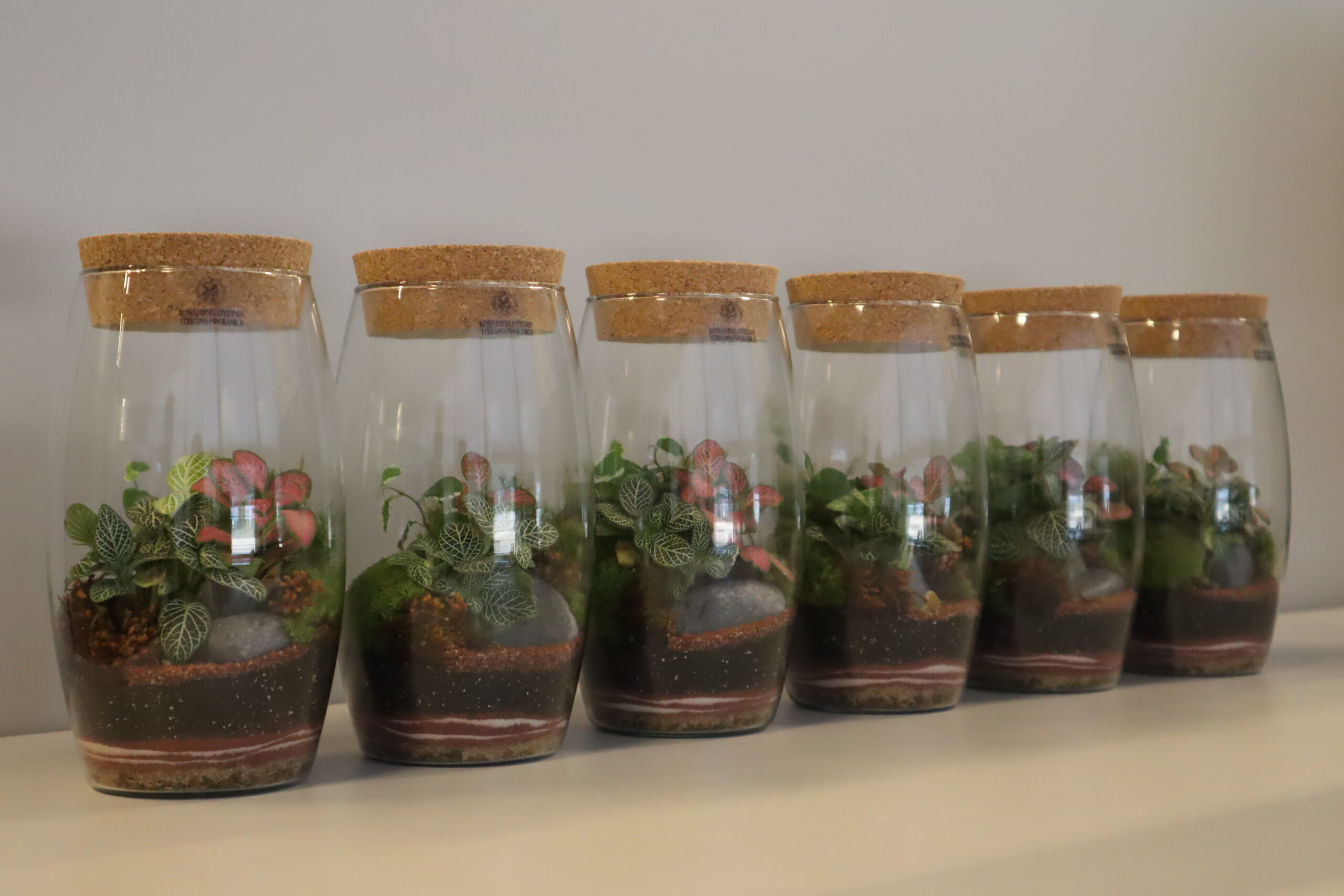 Consórcio PCJ revela os finalistas do Prêmio “Sua Gota Faz a Diferença 2025”