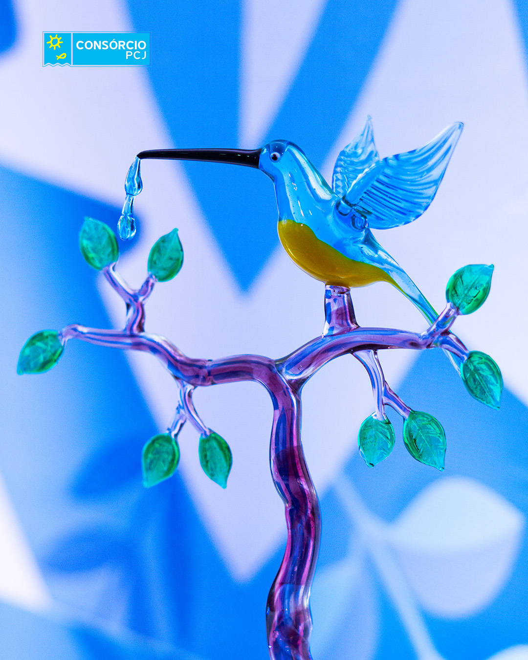 vencedores-premio-acao-pela-agua (08)