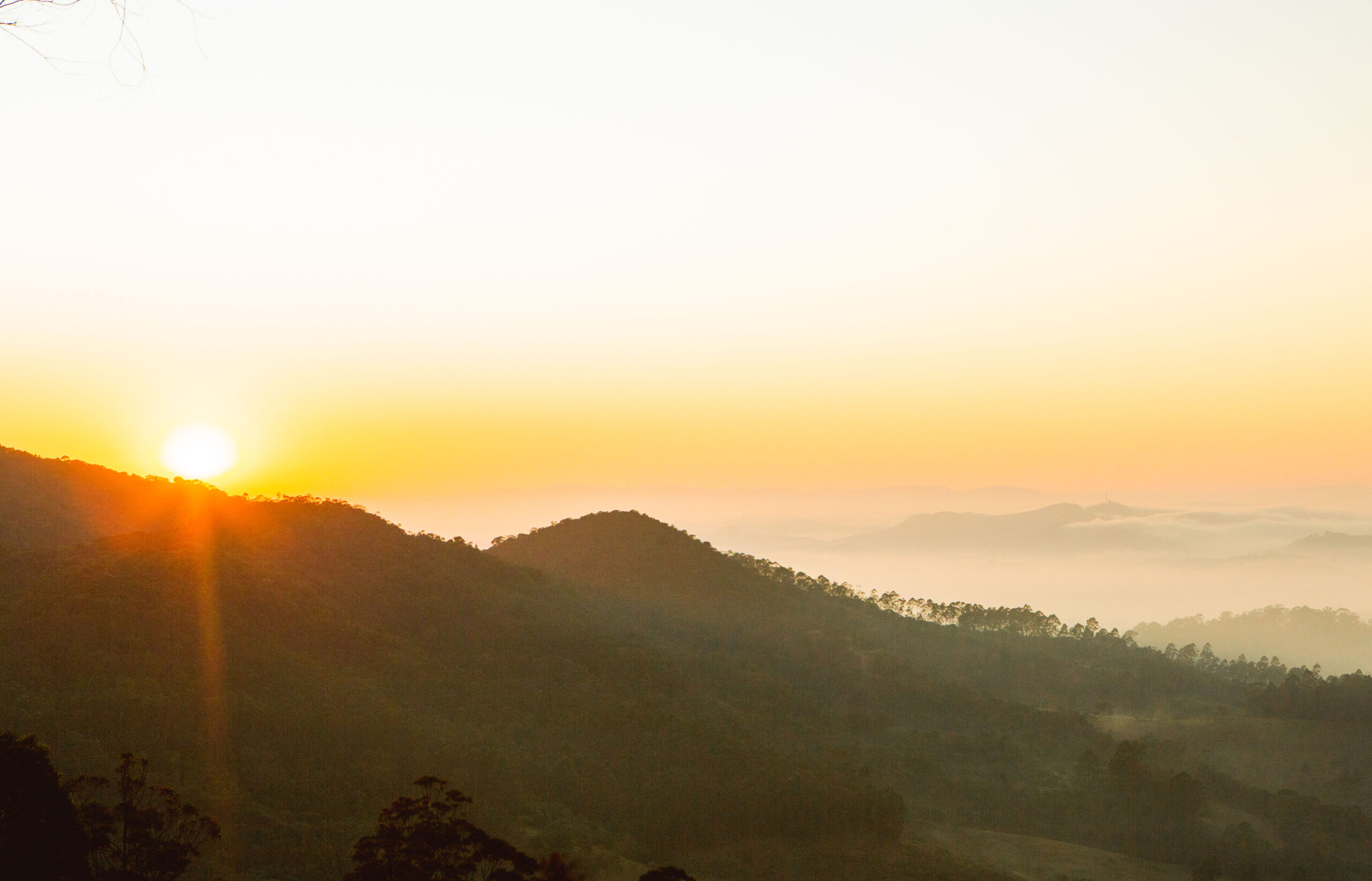 Projeto na Serra do Japi consolida ações de conservação e recarga hídrica com impactos em Jundiaí e região