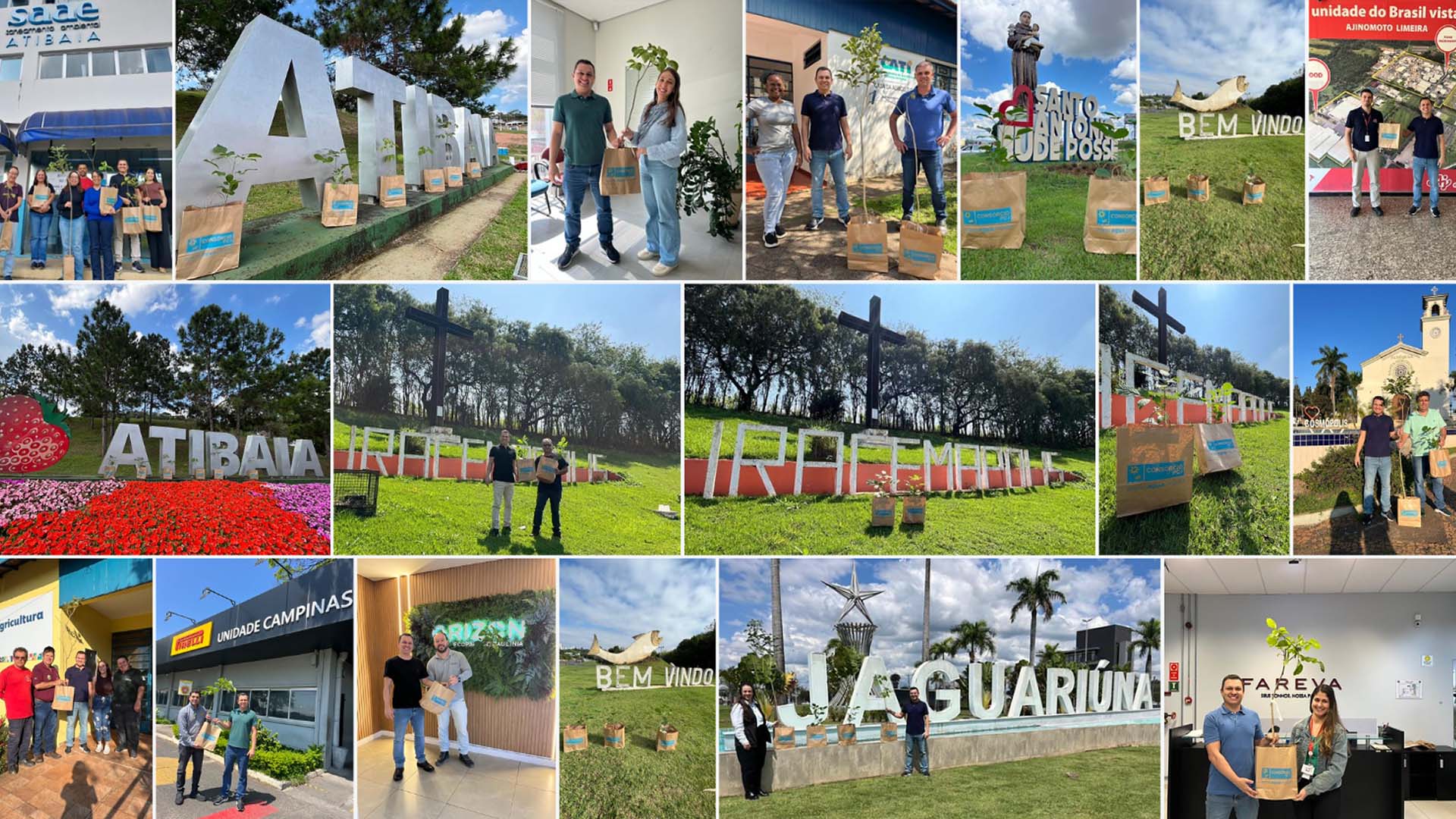 Consórcio PCJ mobiliza municípios e empresas com plantio de Ipê Branco pela integração regional