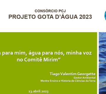 Imagem1